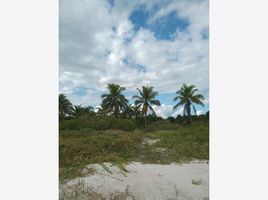  Grundstück zu verkaufen in Lazaro Cardenas, Quintana Roo, Lazaro Cardenas
