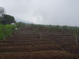  Tanah for sale in Karangploso, East Jawa, Karangploso