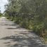  Land for sale in Chemax, Yucatan, Chemax