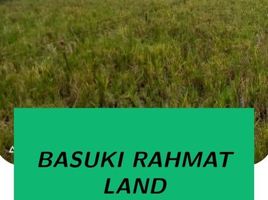  Land for sale in Jenggawah, Jember, Jenggawah