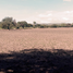  Terreno (Parcela) en venta en El Marques, Querétaro, El Marques, Querétaro, México