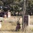 Land for sale in Coronel De Marina Leonardo Rosales, Buenos Aires, Coronel De Marina Leonardo Rosales