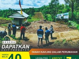  Land for sale in Pakisaji, Malang Regency, Pakisaji