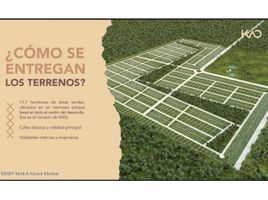  Grundstück zu verkaufen in Panaba, Yucatan, Panaba