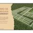  Land for sale in Panaba, Yucatan, Panaba