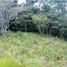Terrain à vendre à Guarne, Antioquia, Guarne, Antioquia