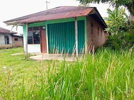 3 Schlafzimmer Haus zu verkaufen in Musi Rawas, South Sumatera, Lubuk Linggau Barat, Musi Rawas, South Sumatera