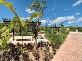  Grundstück zu verkaufen in Conkal, Yucatan, Conkal