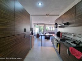 3 Habitación Apartamento en alquiler en Miguel Hidalgo, Ciudad de México, Miguel Hidalgo, Ciudad de México