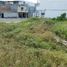  Land for sale in Manta, Manabi, Manta, Manta, Manabi