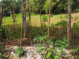  Land for sale in Pengasih, Kulon Progo, Pengasih