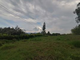  Land for sale in Pereira, Risaralda, Pereira