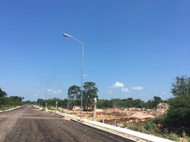  Grundstück zu verkaufen in Conkal, Yucatan, Conkal