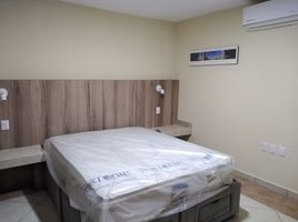 1 Bedroom Apartment for rent in Medellin, Veracruz, Medellin