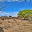  Land for sale in Ischilin, Cordoba, Ischilin