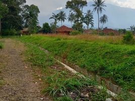  Tanah for sale in Sukabumi, West Jawa, Sukabumi, Sukabumi