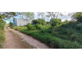  Terreno (Parcela) en venta en Merida, Yucatán, Merida, Yucatán