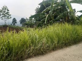  Land for sale in Ngamprah, Bandung, Ngamprah