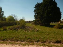  Land for sale in Exaltacion De La Cruz, Buenos Aires, Exaltacion De La Cruz