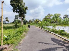  Terreno (Parcela) en venta en Seyegan, Yogyakarta, Seyegan