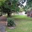  Land for sale in Miacatlan, Morelos, Miacatlan