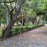  Land for sale in Miacatlan, Morelos, Miacatlan