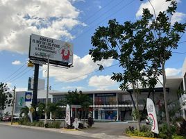 120 SqM Office for rent in Merida, Yucatan, Merida