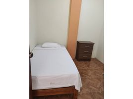 1 Bedroom Condo for rent in Peru, Castilla, Piura, Piura, Peru