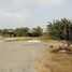  Terreno (Parcela) en venta en Cilincing, Jakarta, Cilincing, Jakarta Utara, Jakarta