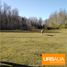  Land for rent in Biobío, Santa Barbara, Biobío, Biobío