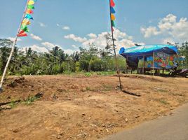  Land for sale in Kepanjen, Malang Regency, Kepanjen