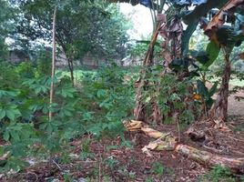  Land for sale in Bogor, West Jawa, Sawangan, Bogor