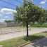  Land for sale in Tlaquepaque, Jalisco, Tlaquepaque