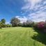  Land for sale in San Gregorio Atzompa Puebla, San Gregorio Atzompa, Puebla