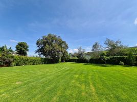  Land for sale in San Gregorio Atzompa Puebla, San Gregorio Atzompa, Puebla