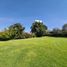  Land for sale in San Gregorio Atzompa Puebla, San Gregorio Atzompa, Puebla