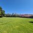  Land for sale in San Gregorio Atzompa Puebla, San Gregorio Atzompa, Puebla