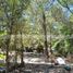  Land for rent in Santiago, Nuevo Leon, Santiago