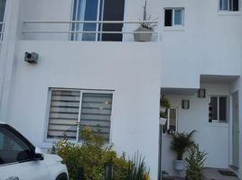 在墨西哥出租的 住宅, Queretaro, Queretaro, 墨西哥