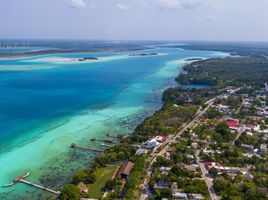 Grundstück zu verkaufen in Othon P Blanco, Quintana Roo, Othon P Blanco