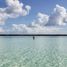  Grundstück zu verkaufen in Othon P Blanco, Quintana Roo, Othon P Blanco