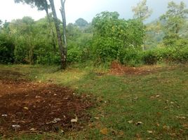  Terreno (Parcela) en venta en Lembang, West Jawa, Lembang, Bandung, West Jawa