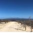  Grundstück zu verkaufen in La Paz, Baja California Sur, La Paz