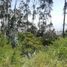  Land for sale in Bicentenario Park, Quito, Quito, Quito