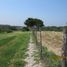  Land for sale in Tampico Alto, Veracruz, Tampico Alto