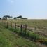  Land for sale in Tampico Alto, Veracruz, Tampico Alto