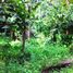  Land for sale in Selemadeg, Tabanan, Selemadeg