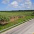 Land for sale in Champoton, Campeche, Champoton