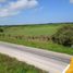  Land for sale in Champoton, Campeche, Champoton