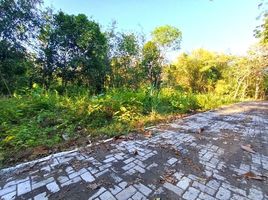  Land for sale in Pengasih, Kulon Progo, Pengasih